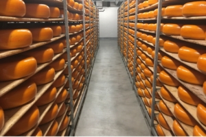 dutch-cheese-3